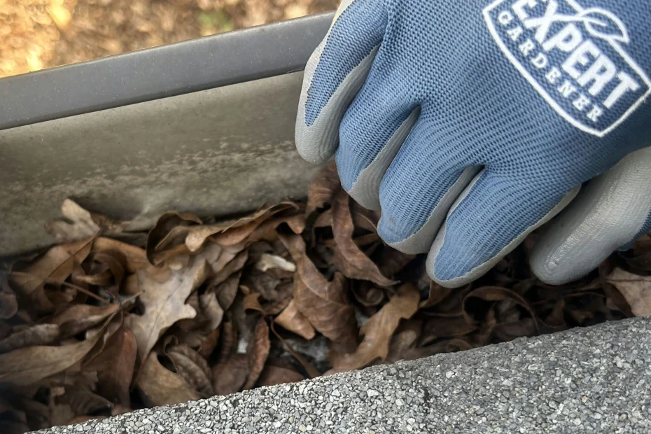 Gutter Cleaning Cranberry Township