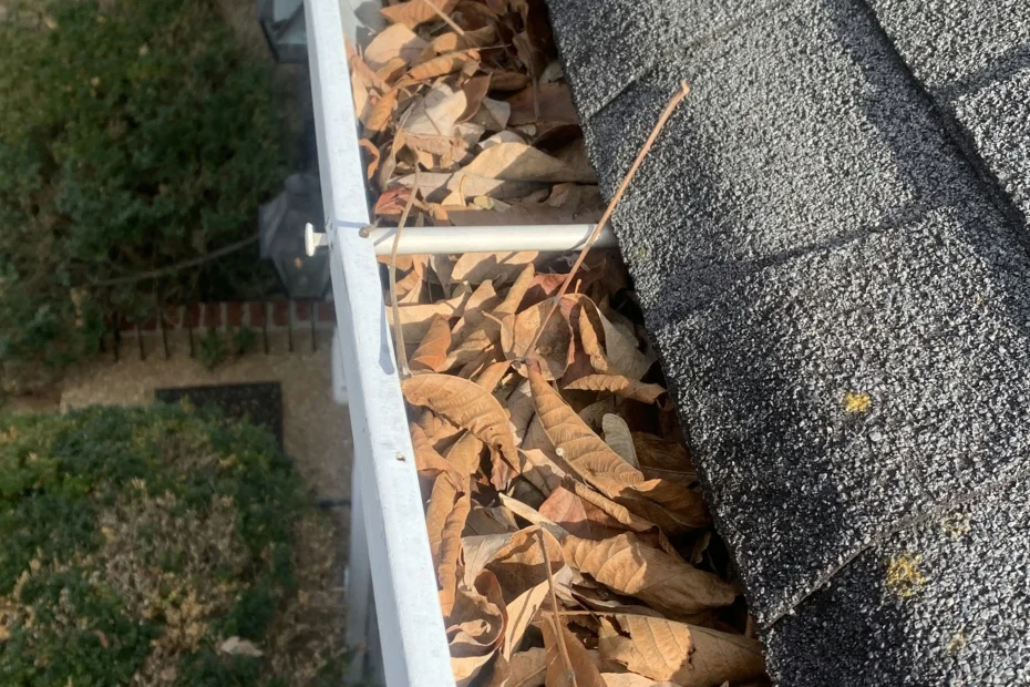 Gutter Cleaning Cranberry Township